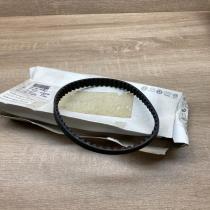 036109119P   Timing belt Volkswagen Golf V