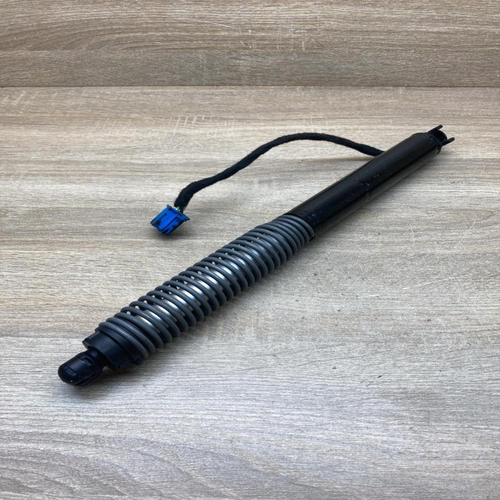 7357110 17893910  Tailgate strut BMW 7 G11 G12