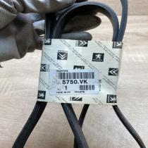 5750VK 5PK1218  Alternator belt Peugeot Partner