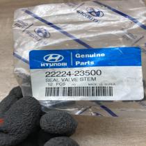 22224 23500 2222423500  Other engine part Hyundai Santa Fe