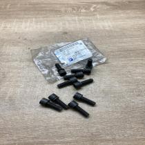 55204664  10 Pcs Nuts/bolts Saab 9-3 Ver2