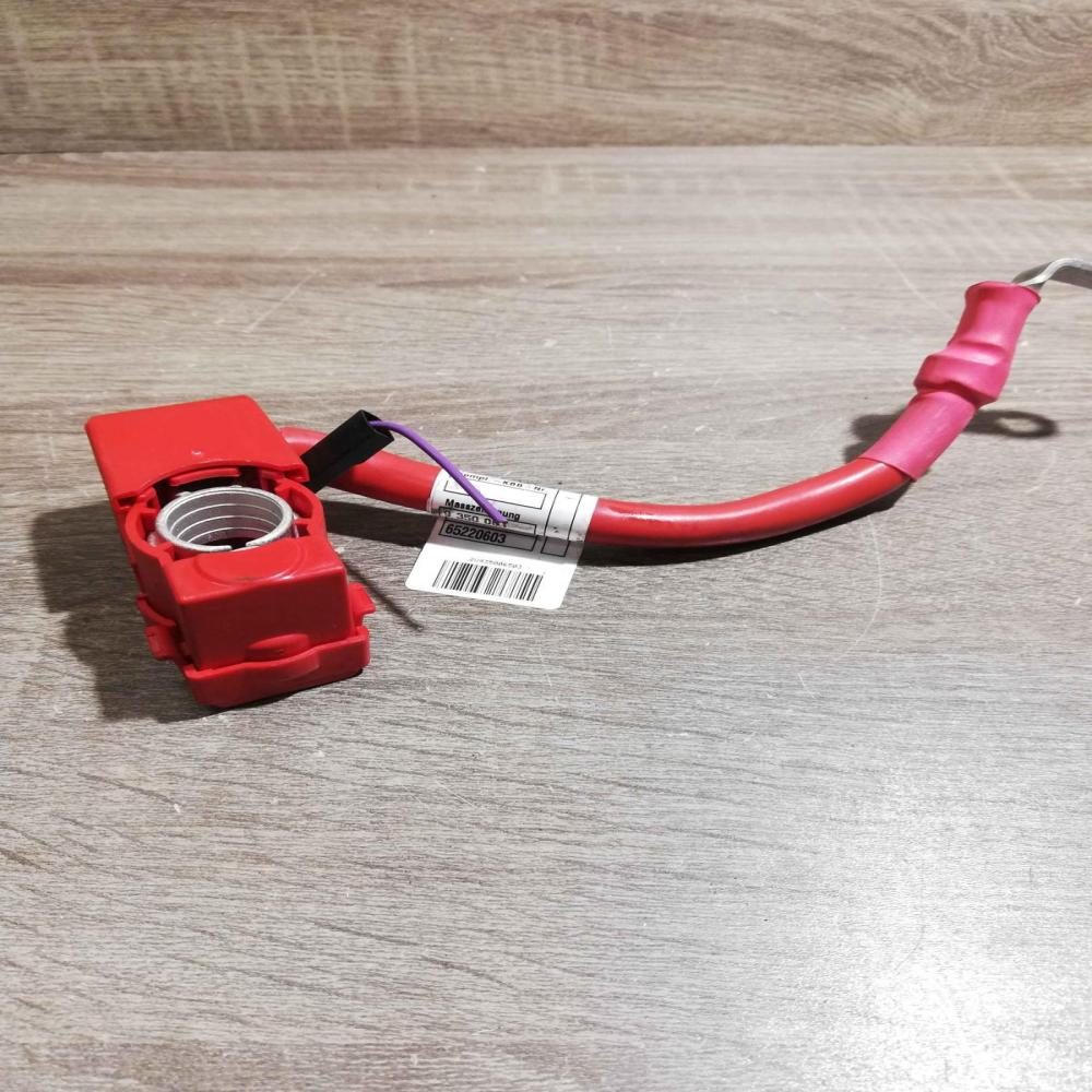 9350065 03 618537 101  Positive cable (battery) BMW 5 G30 G31
