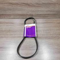 96610562   Timing belt Honda Accord