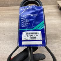 5750D0 5750 D0  Alternator belt Peugeot 605