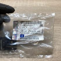 24446517   Other body part Opel Vectra C