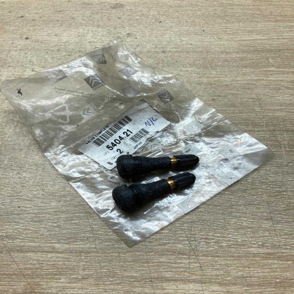 540421 5404 21  Other body part Peugeot 307