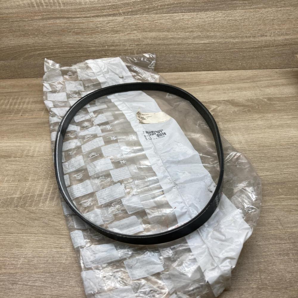 5750WY 9653319680 5750 WY Alternator belt Volkswagen Sharan