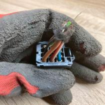 968972 8 968972 2  Plug wire Mercedes-Benz E W213