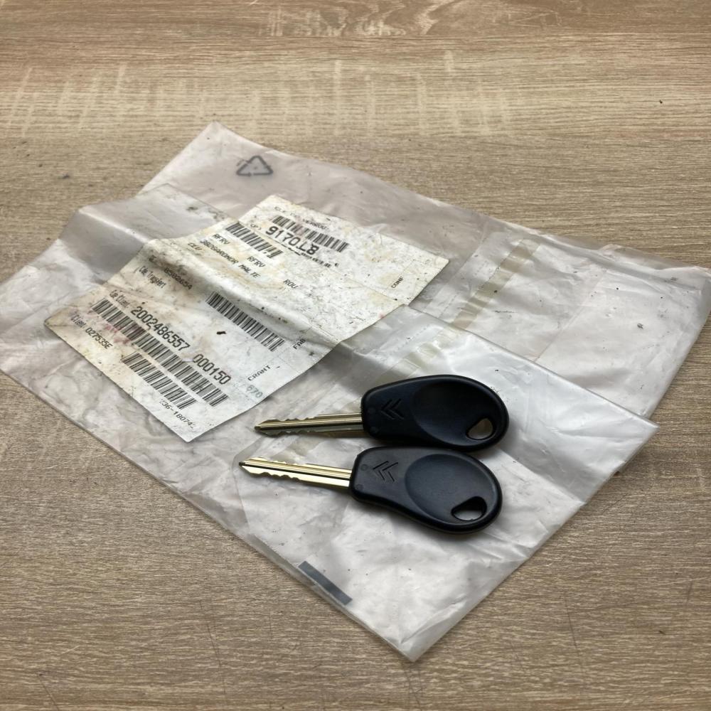 9170L8 9170 L8  Ignition key/card Citroen Saxo