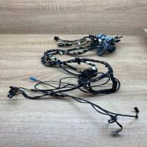 9252376 9147281 With Keyless Front door wiring loom BMW X3 F25