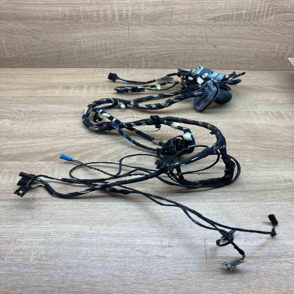 9252376 9147281 With Keyless Front door wiring loom BMW X3 F25
