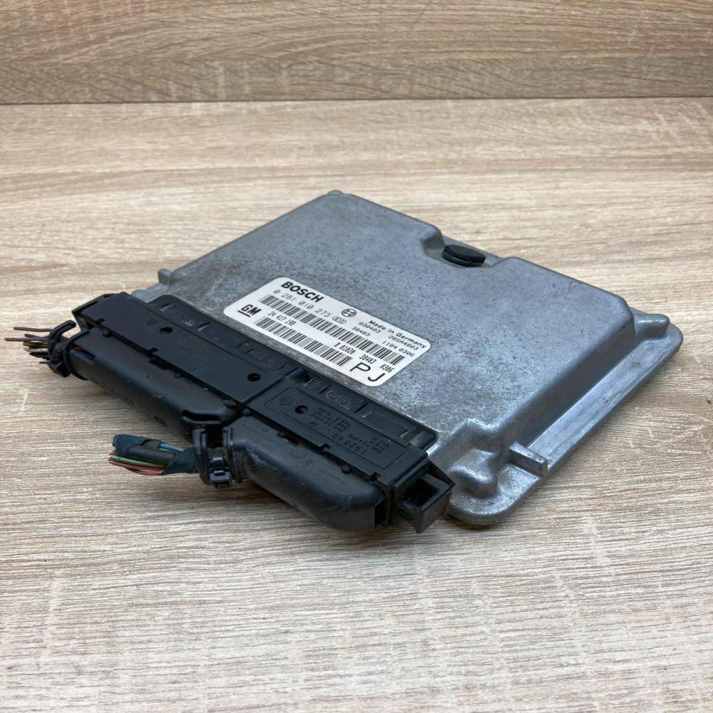 24417198 0281010273 PJ Engine control unit/module ECU Opel Omega B2