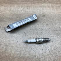 7701366087   Spark plug Renault Clio I