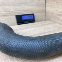 8580078 154768 10  Intercooler hose/pipe BMW X3 G01