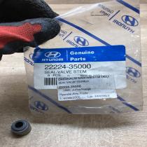 22224 35000 2222435000 Valve stem seal Other engine part Hyundai Terracan