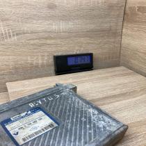 HOM7700868189 7700105605  Engine control unit/module ECU Renault Scenic I