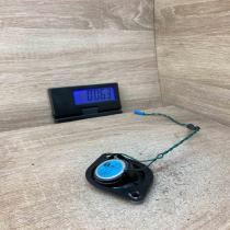 9175696 25000017  Front door high frequency speaker BMW 5 F10 F11