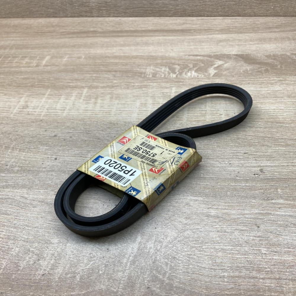 5750SE 5750 SE  Alternator belt Peugeot 306