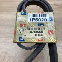 5750SE 5750 SE  Alternator belt Peugeot 306