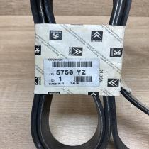 5750YZ 9664925980  Alternator belt Citroen Xsara