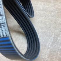 5PK1148   Alternator belt Fiat Panda III