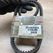5750G3   Alternator belt Citroen C25