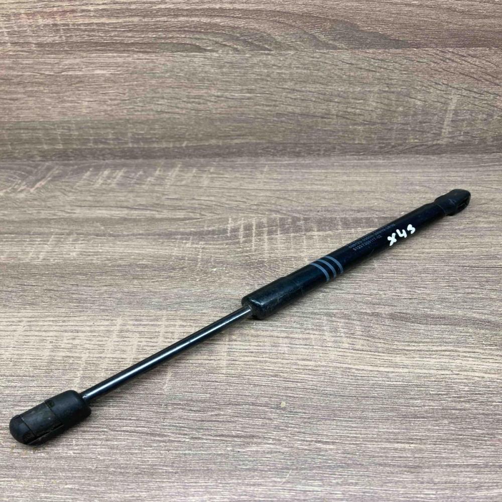 7309117 02 698123 0355N  Front bonnet/hood damper/strut BMW 5 F10 F11