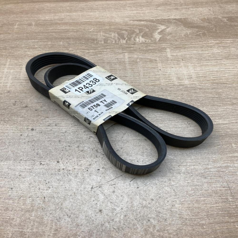 5750TY 5750 TY  Alternator belt Peugeot Boxer