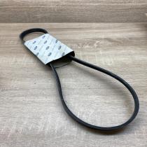 1303613   Alternator belt Ford Escort