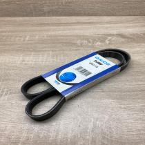 6PK1115   Alternator belt Citroen Dispatch I