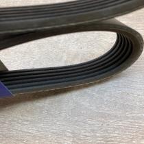6PK1113   Timing belt Peugeot 406