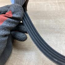 12940325   Timing belt Fiat Seicento/600