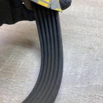 8200846156   Timing belt Renault Clio II