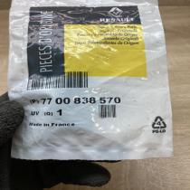 7700838570   Windshield trim Renault Megane II