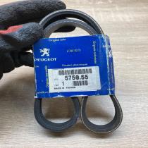 575055 5750 55  Timing belt Peugeot Expert