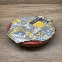 7701035018   Air filter Renault 5