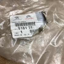 9181T8 9181 T8  Front door check strap stopper Peugeot 107