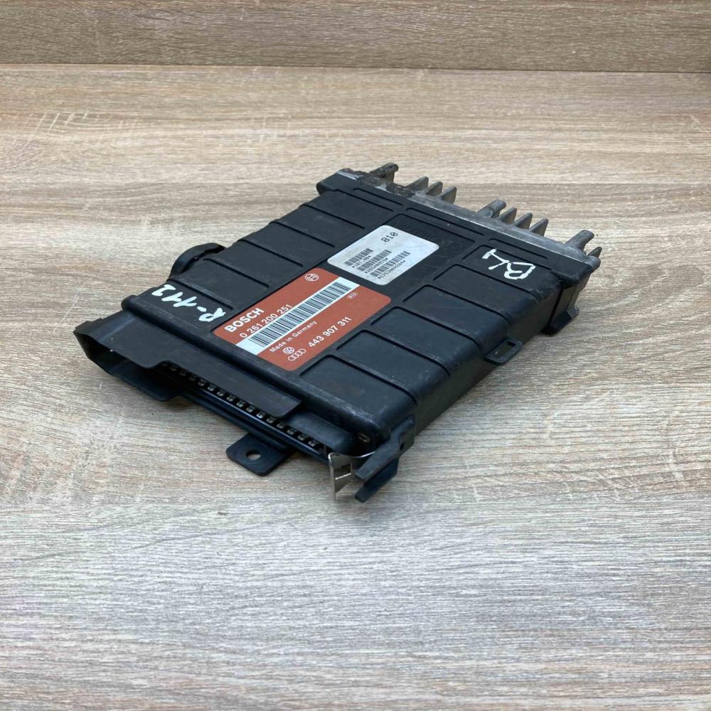 443907311 0261200251  Engine control unit/module ECU Volkswagen PASSAT B4