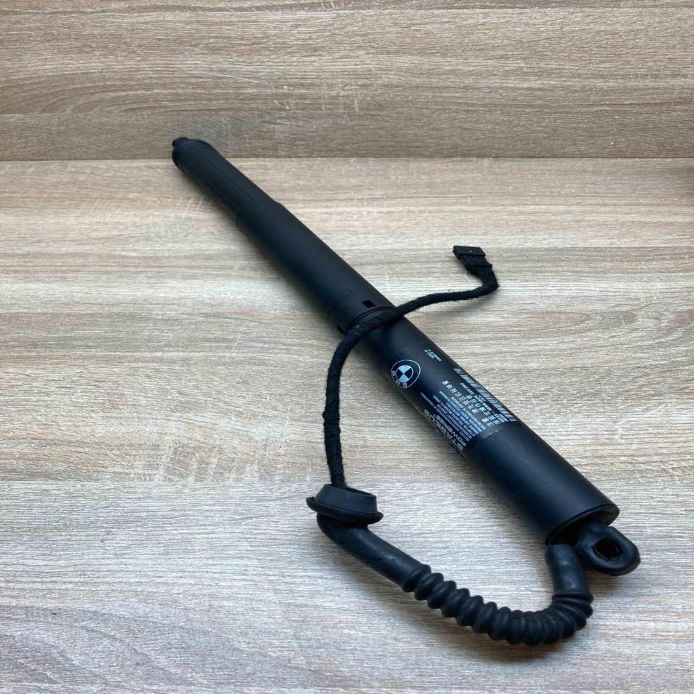 7294469 182022 10  Tailgate strut BMW X5 F15