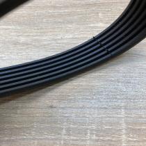 7700101261   Timing belt Renault Megane I