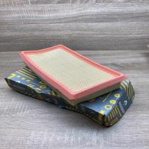 8200459849   Air filter Renault Clio II