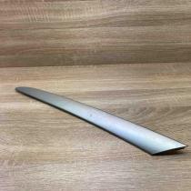 8265483   Front door trim bar BMW X5 E53