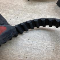 7700718752   Timing belt Renault Super R5