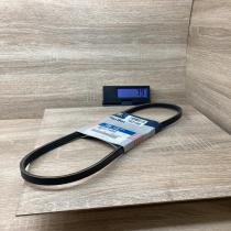 25212 24350 2521224350  Timing belt Hyundai Elantra