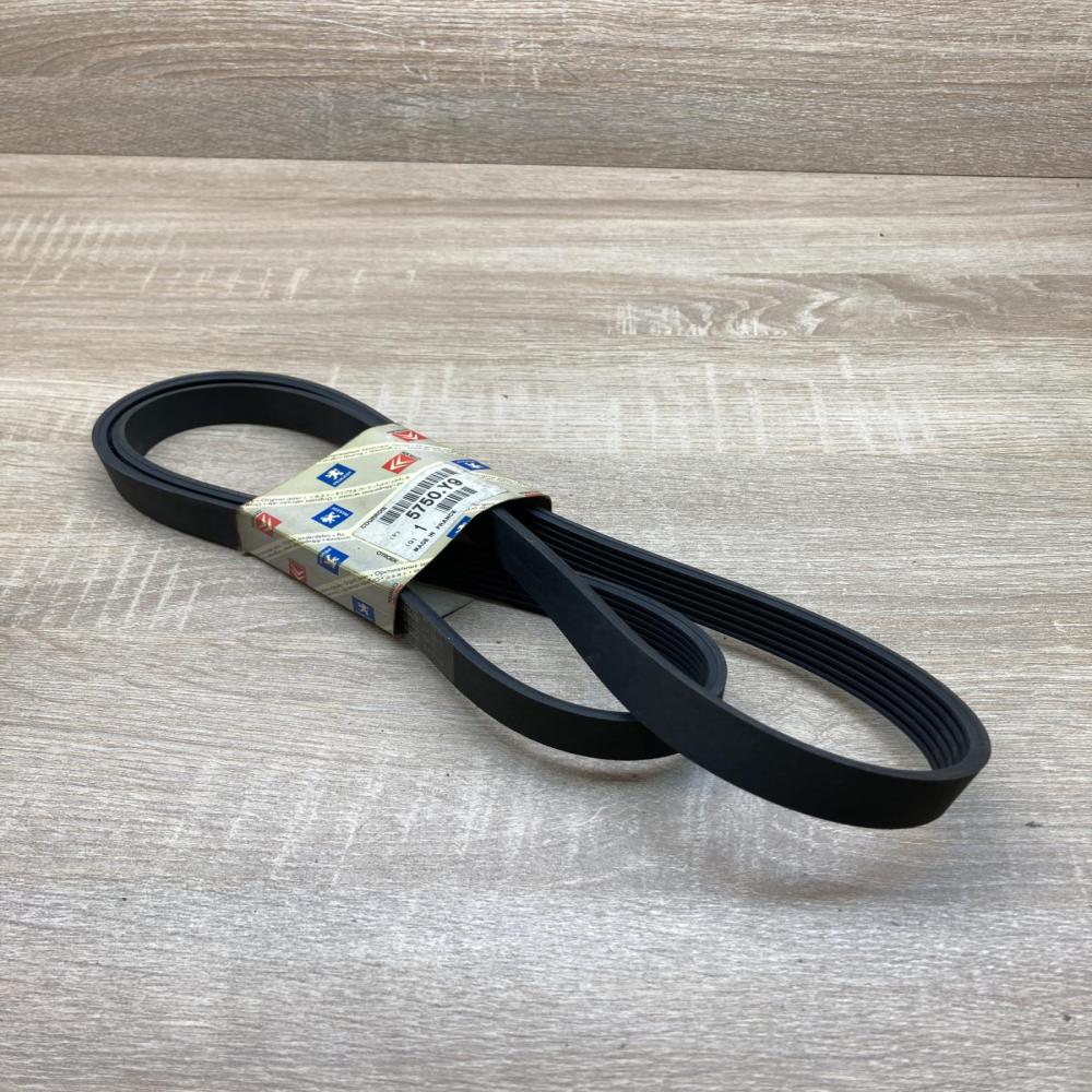 5750Y9 5750 Y9  Timing belt Peugeot 206+