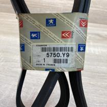 5750Y9 5750 Y9  Timing belt Peugeot 206+