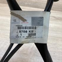 5750KR 5750 KR  Timing belt Citroen Dispatch I