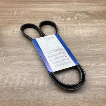 6PK1275   Timing belt Fiat Stilo