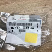 1611746780   Windshield trim Fiat Ducato