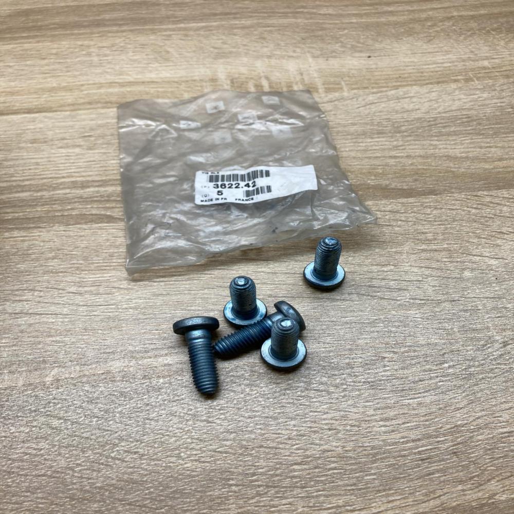 362242  5 Pcs Nuts/bolts Citroen C3